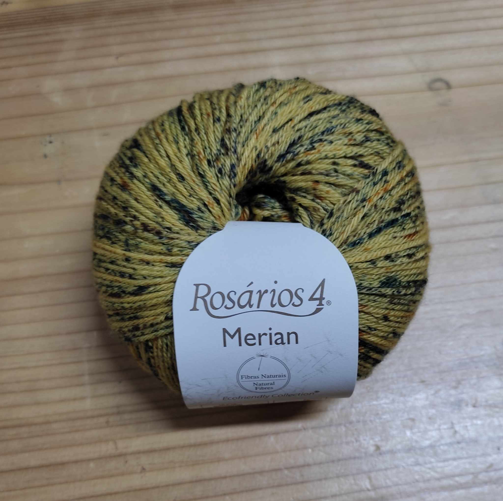 395025553_1364641457462242_8755283116468514043_n